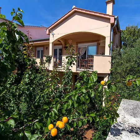 Bilic Appartement Zadar